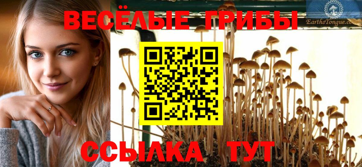 Галлюциногенные грибы ЛСД  Вход с VPN  Луховицы 